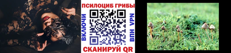 Псилоцибиновые грибы прущие грибы  цены наркотик  Воткинск 